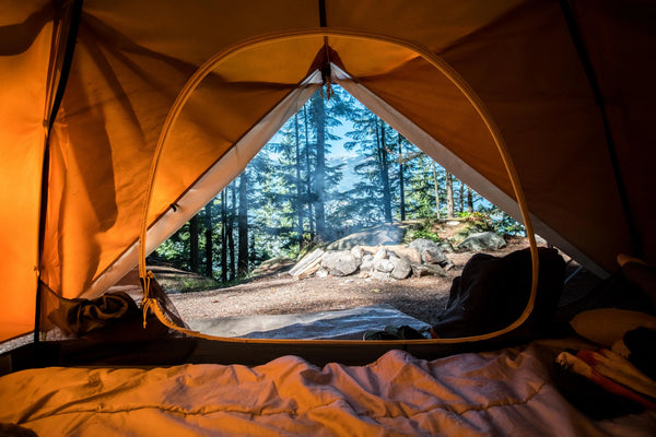 How to Choose the Right Tent for Your Next Adventure